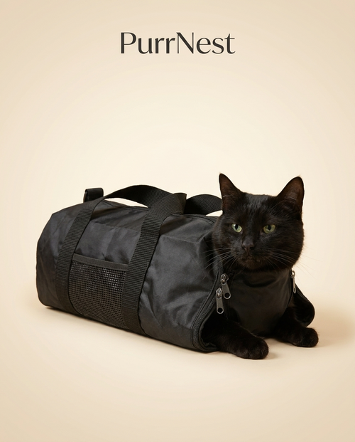 Calm cat resting inside PurrNest black grooming restraint bag with breathable mesh panel - premium studio shot