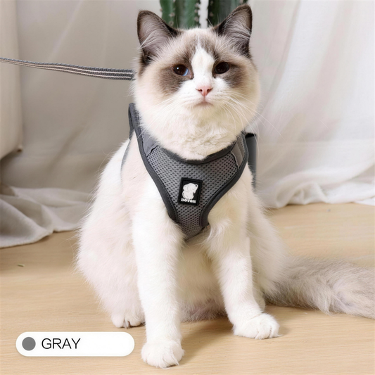 PurrNest adjustable cat walking harness - full product view (4K)
